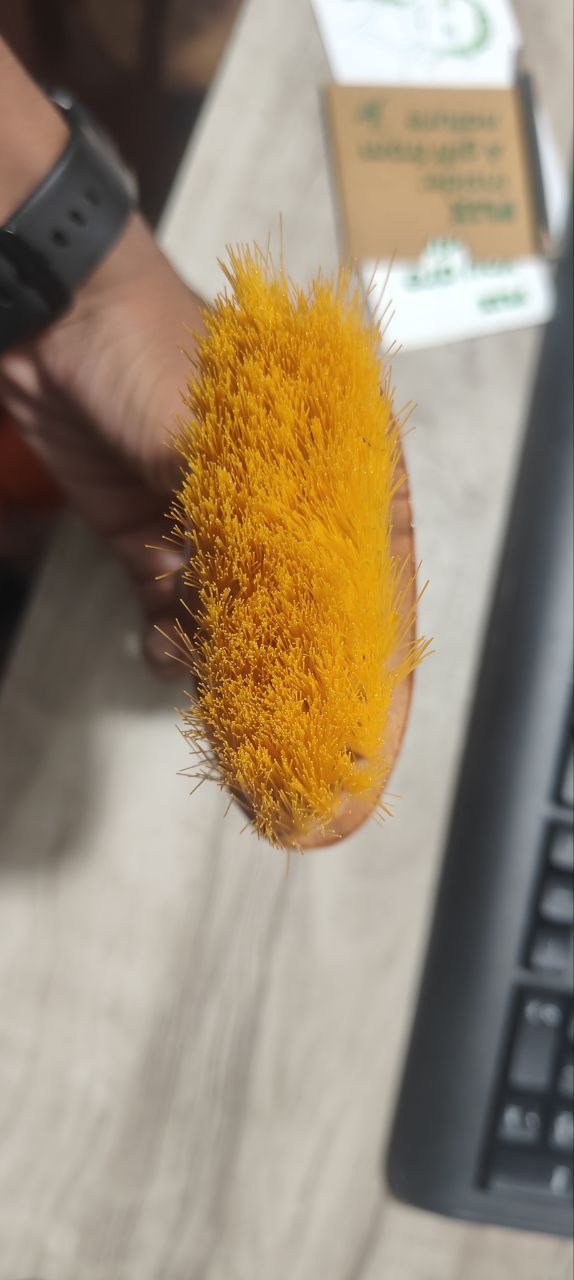 Brush